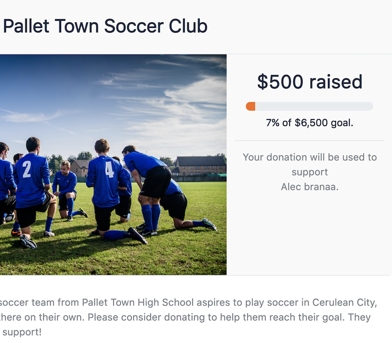 Youth sports fundraising donation page interface showing easy donation process